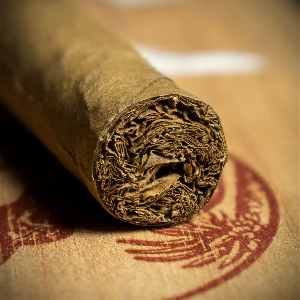 De Olifant Dutch Corona Cigars - Box of 10 - Image 4
