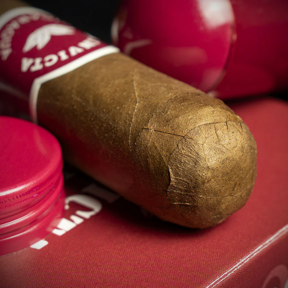 La Invicta Nicaraguan Tubos Robusto Cigars - Pack of 3 - Image 4