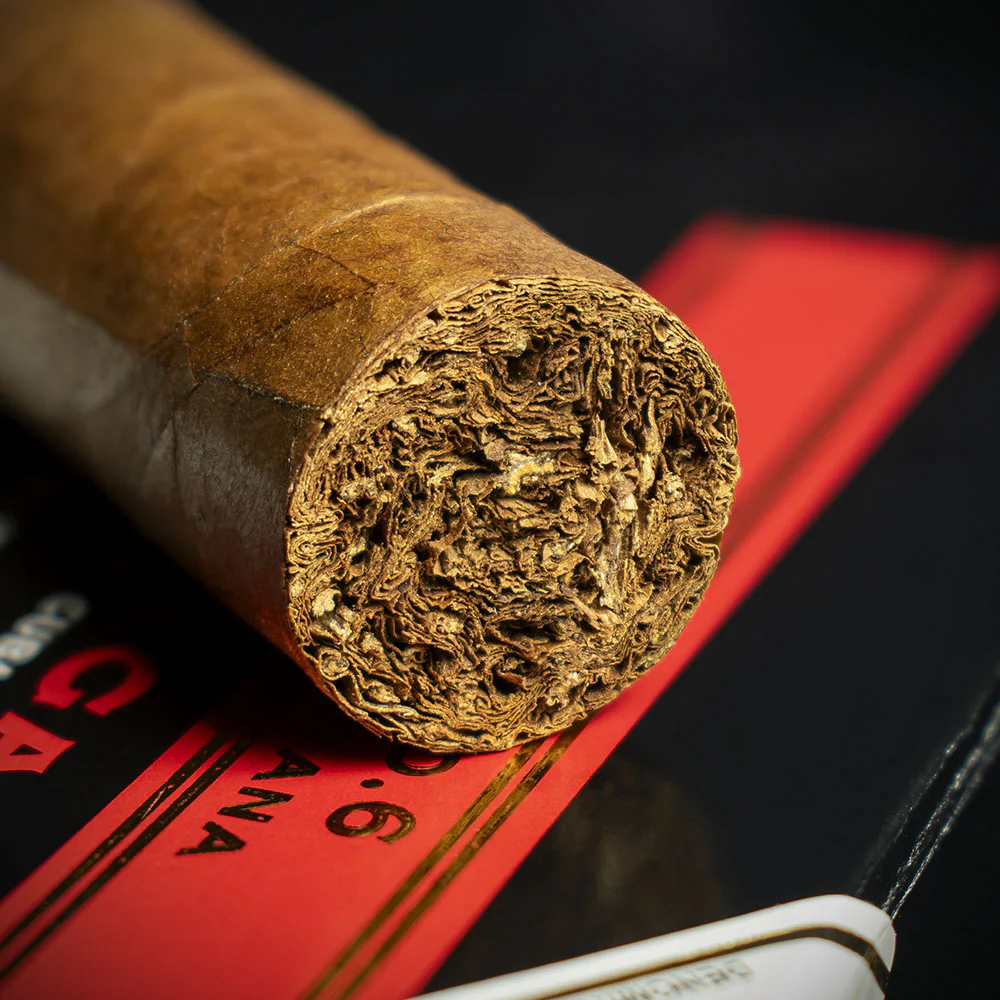 Partagas Serie D No.6 Cuban Cigars - Pack of 5 - Image 5