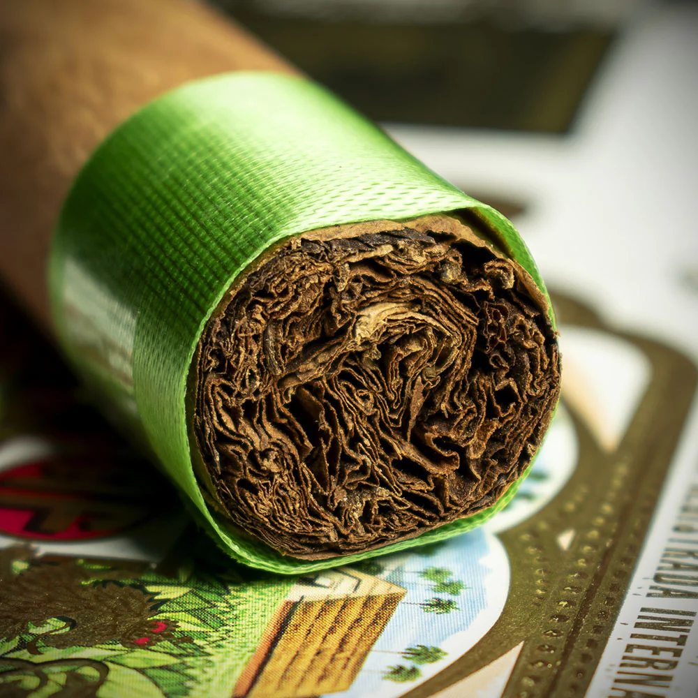 Arturo Fuente Chateau Fuente Cigar - Single - Image 6