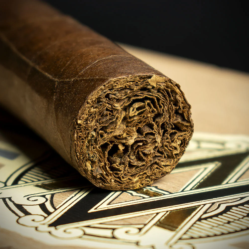 AVO Dominican Classic Robusto Cigar - Single - Image 5
