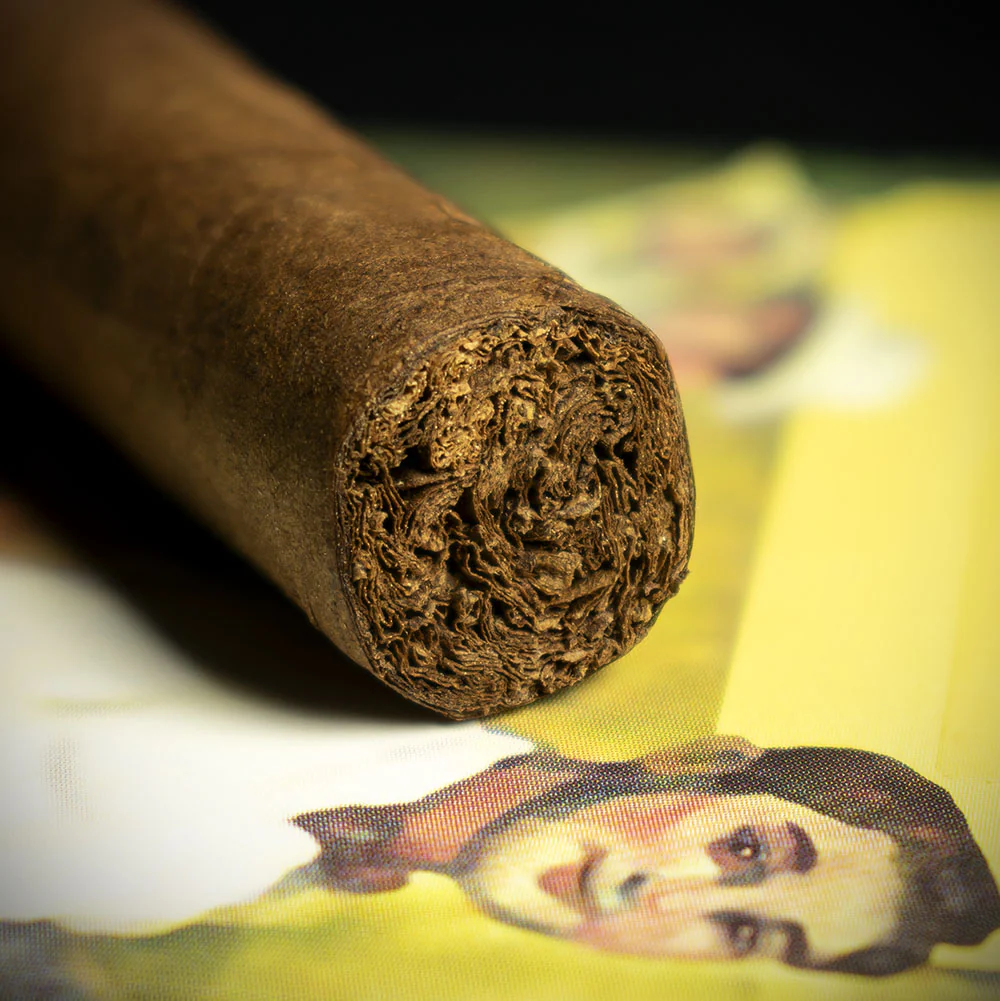 Aladino Santi Corojo Cigars - Box of 10 - Image 5