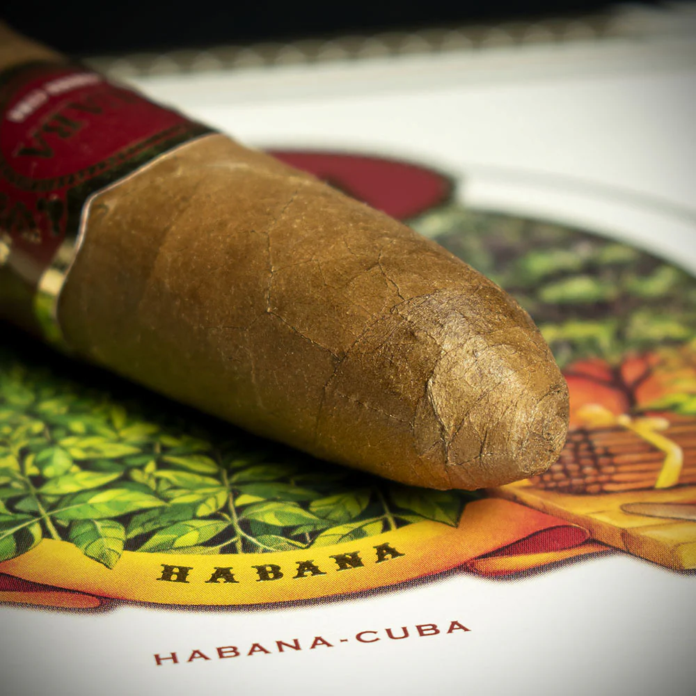 Cuaba Distinguidos Cuban Cigar - Single - Image 5