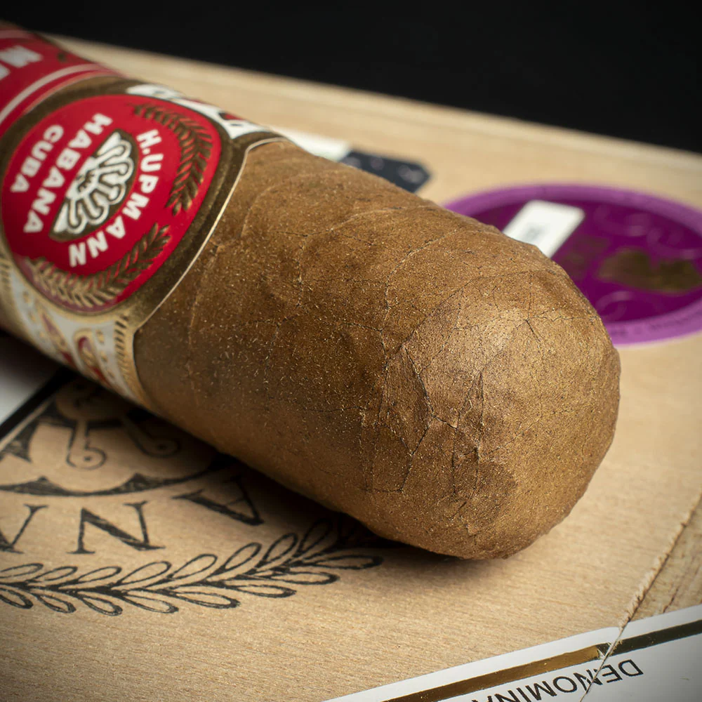 H. Upmann Magnum 54 Cuban Cigars - Box of 10 - Image 4
