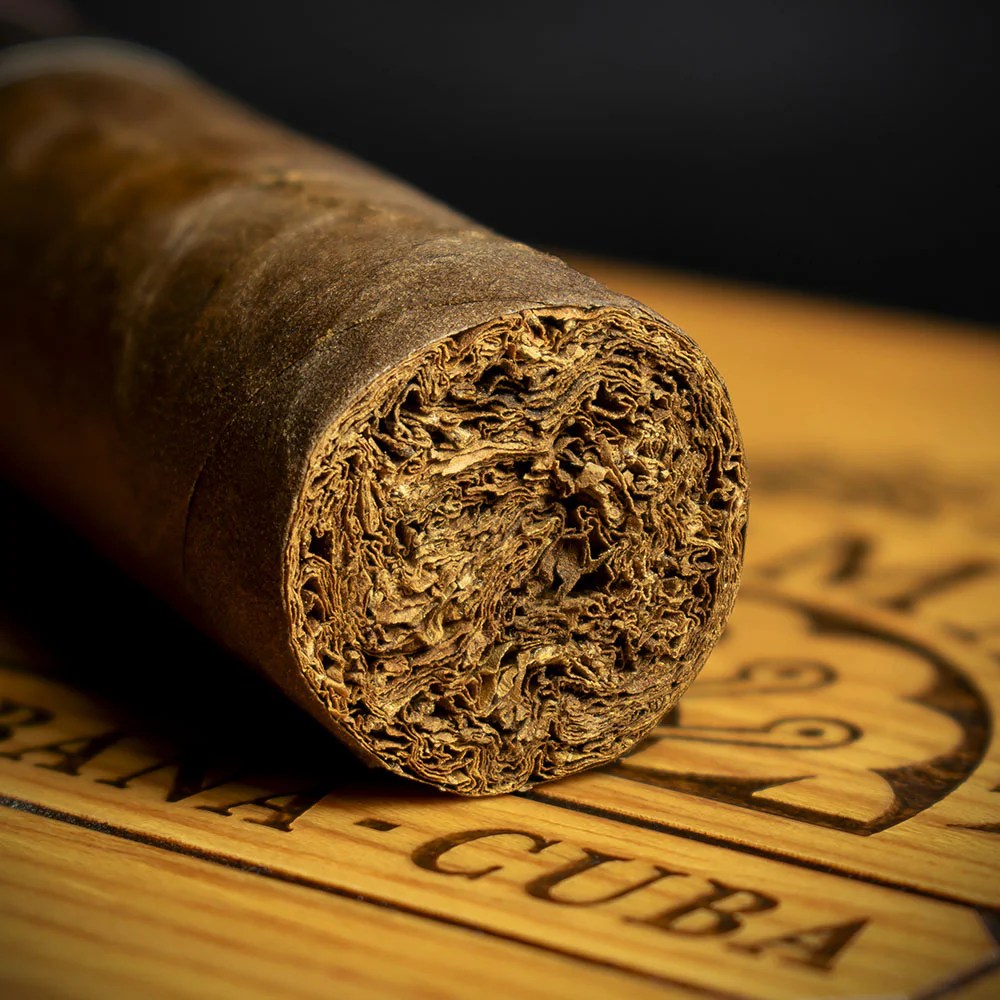 H. Upmann Magnum Finite Cuban Cigar Edición Limitada 2024 - Box of 25 - Image 5