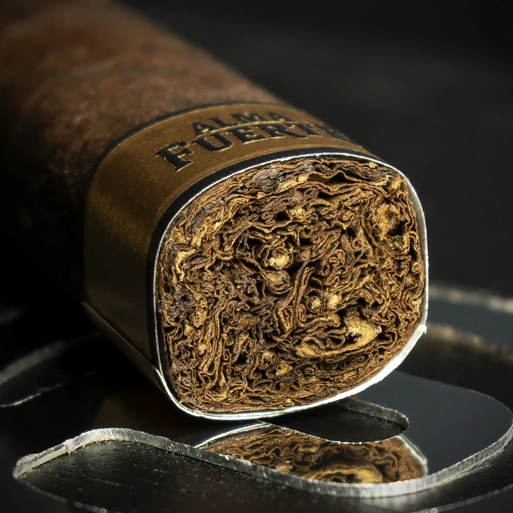 Plasencia Alma Fuerte Box Pressed Robusto Cigars - Box of 10 - Image 5