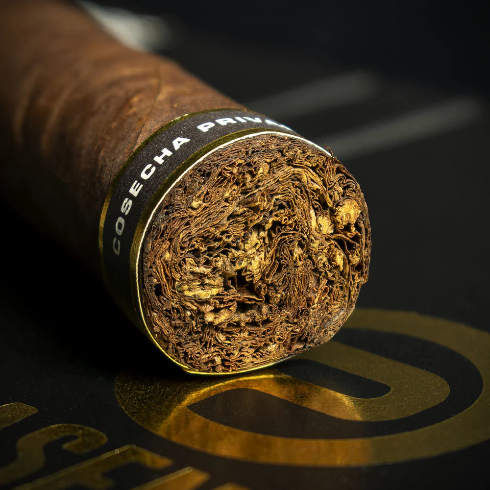 Plasencia Cosecha 151 La Tradicion Toro Cigars - Box of 10 - Image 5