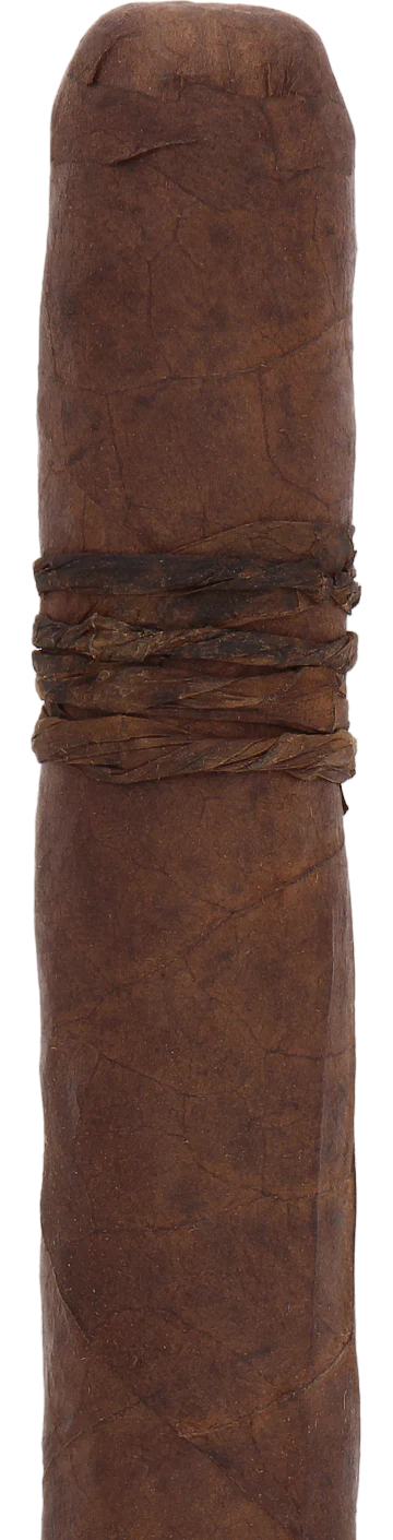 CAO Amazon Basin Toro Cigar - Single