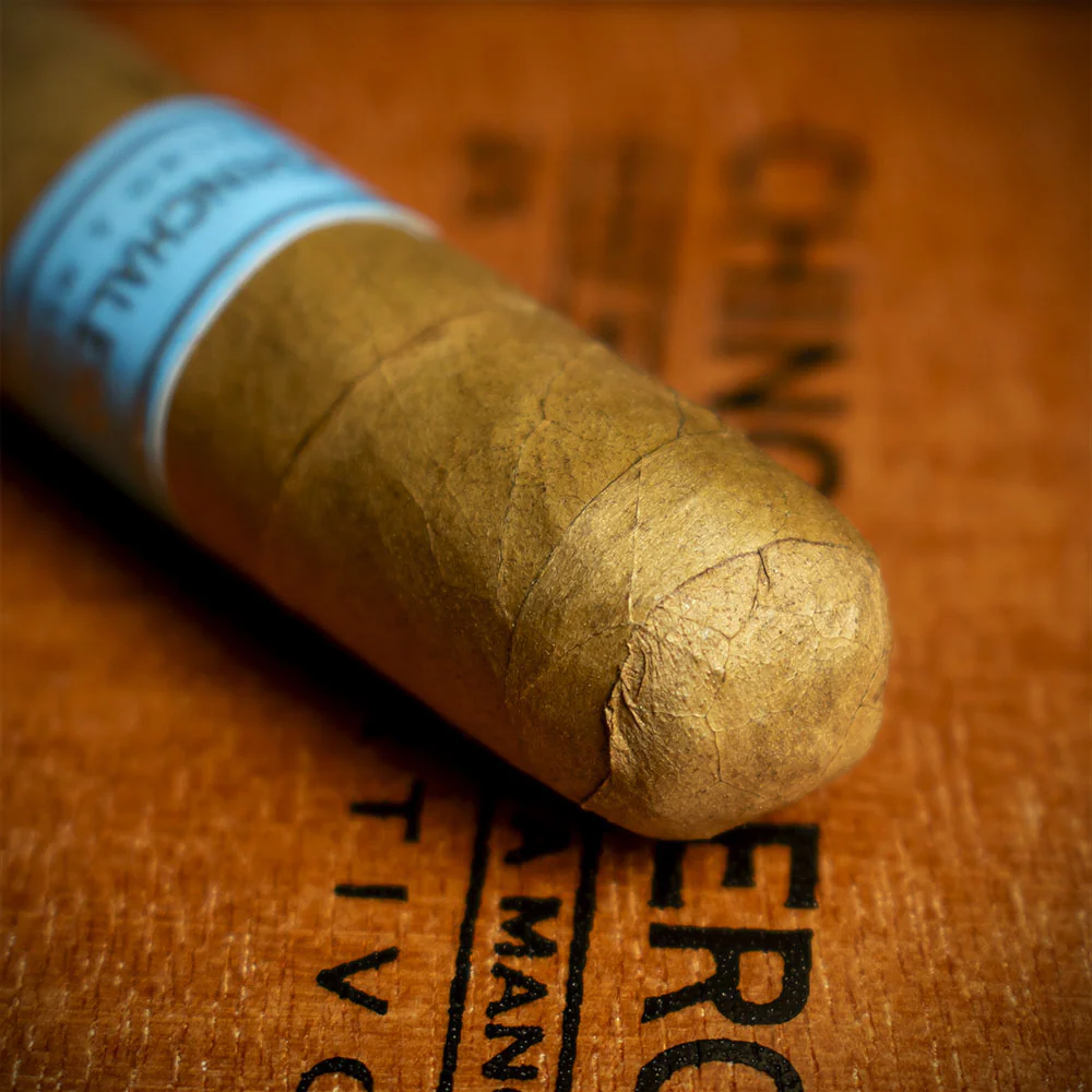 Chinchalero Esportivo Cigar - Single - Image 5