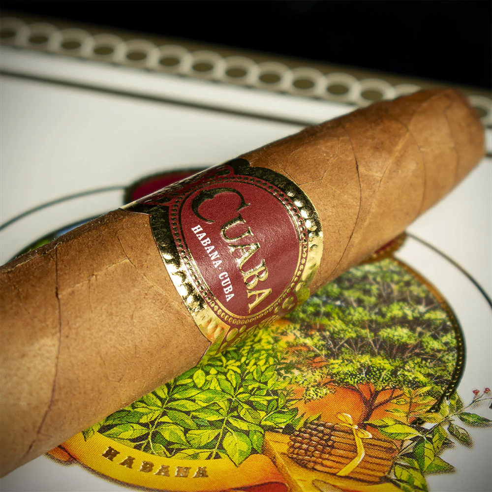Cuaba Divinos Cuban Cigars - Box of 25 - Image 3