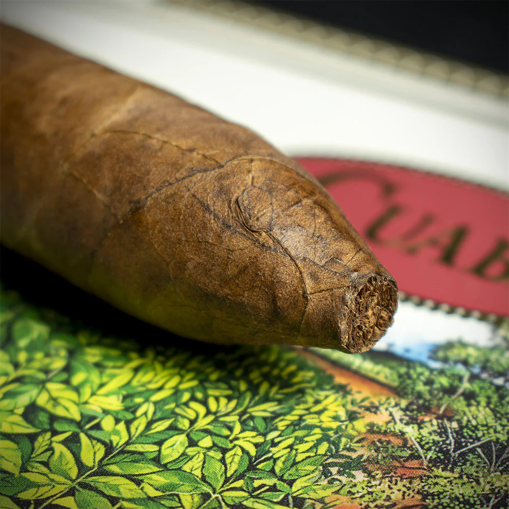 Cuaba Salomones Cuban Cigar - Single - Image 6