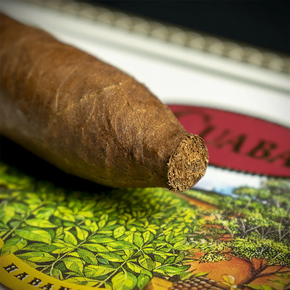 Cuaba Tradicionales Cuban Cigar - Single - Image 6