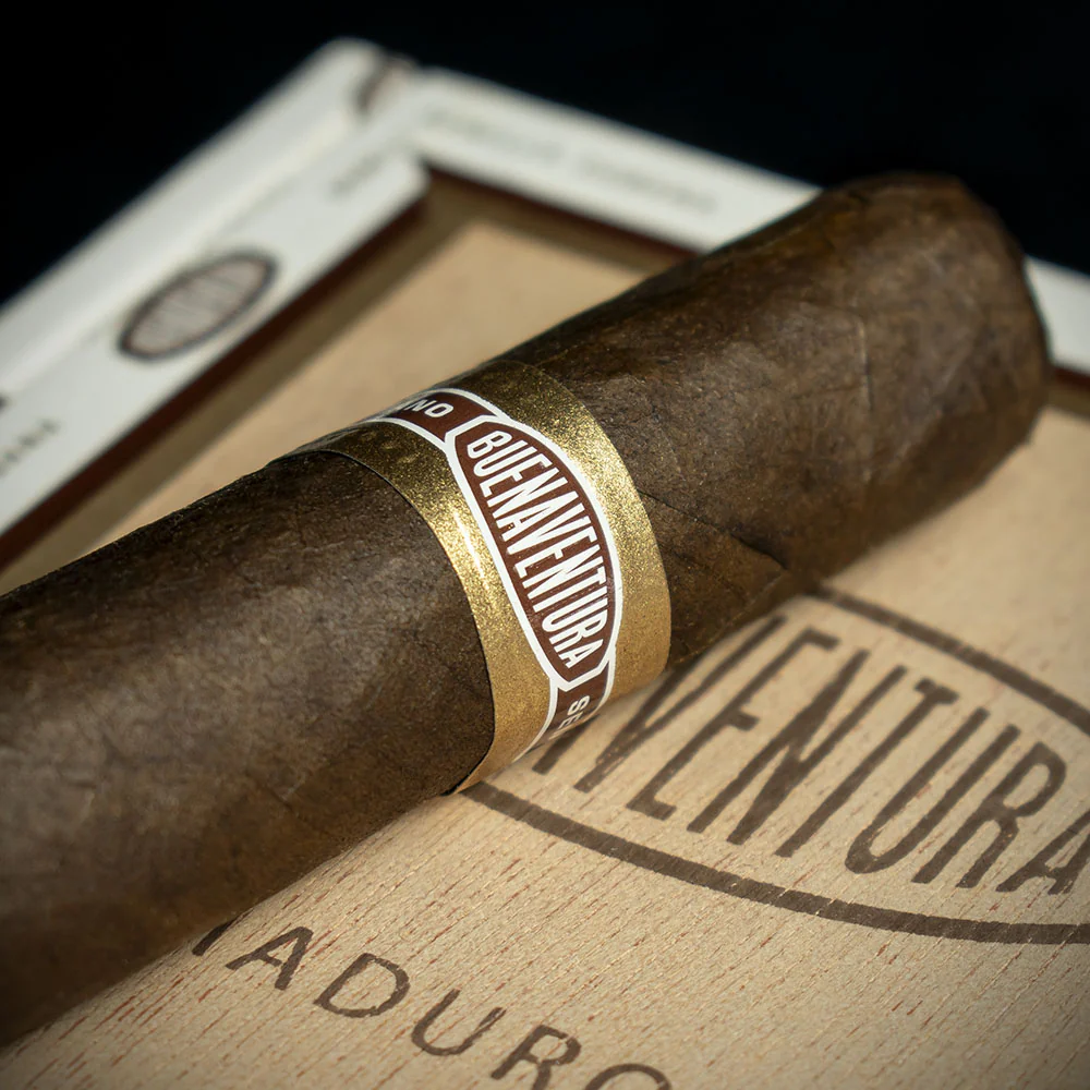 Curivari Buenaventura BV 500 Nicaraguan Maduro Robusto Cigar - Single - Image 4