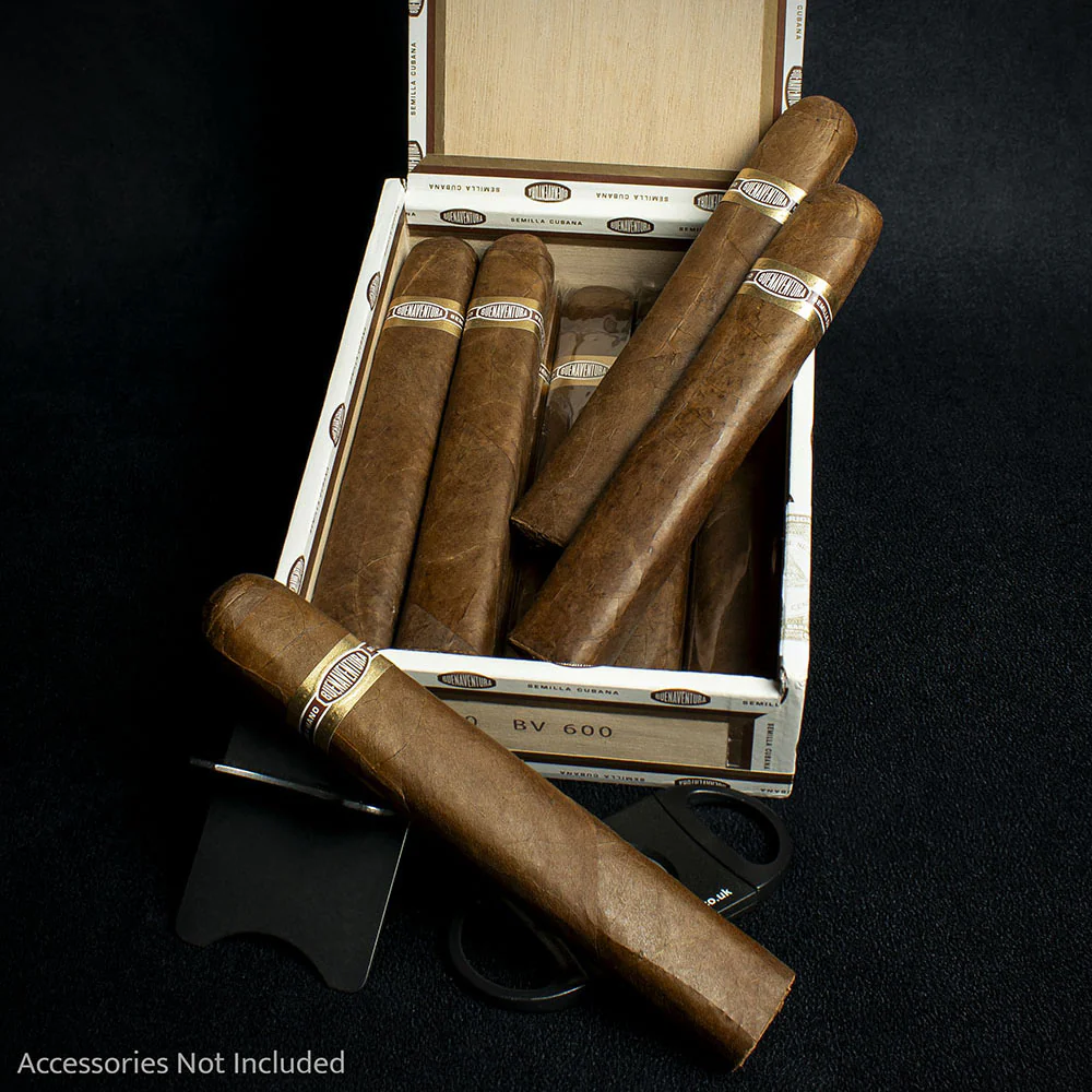 Curivari Buenaventura BV 600 Nicaraguan Toro Cigar - Single - Image 3