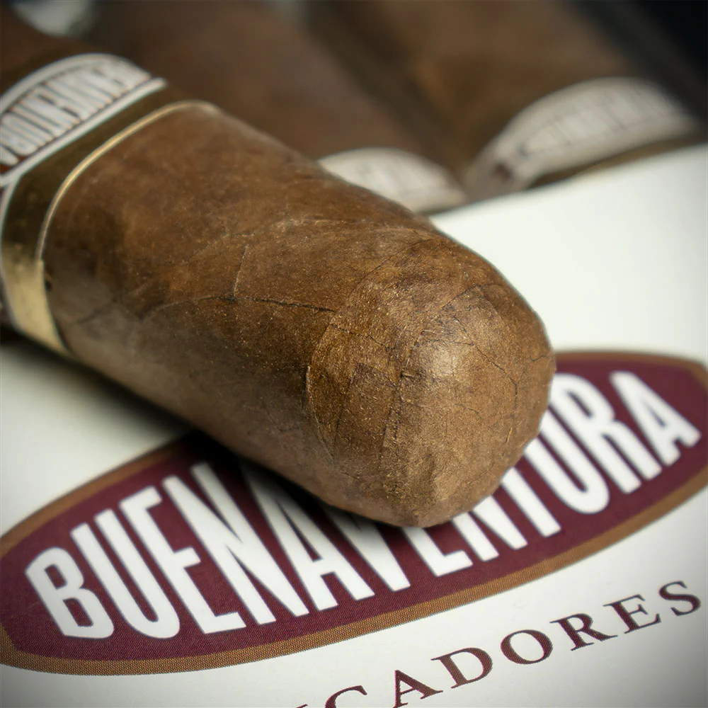 Curivari Buenaventura Picadores 50 Robusto Cigar - Single - Image 6