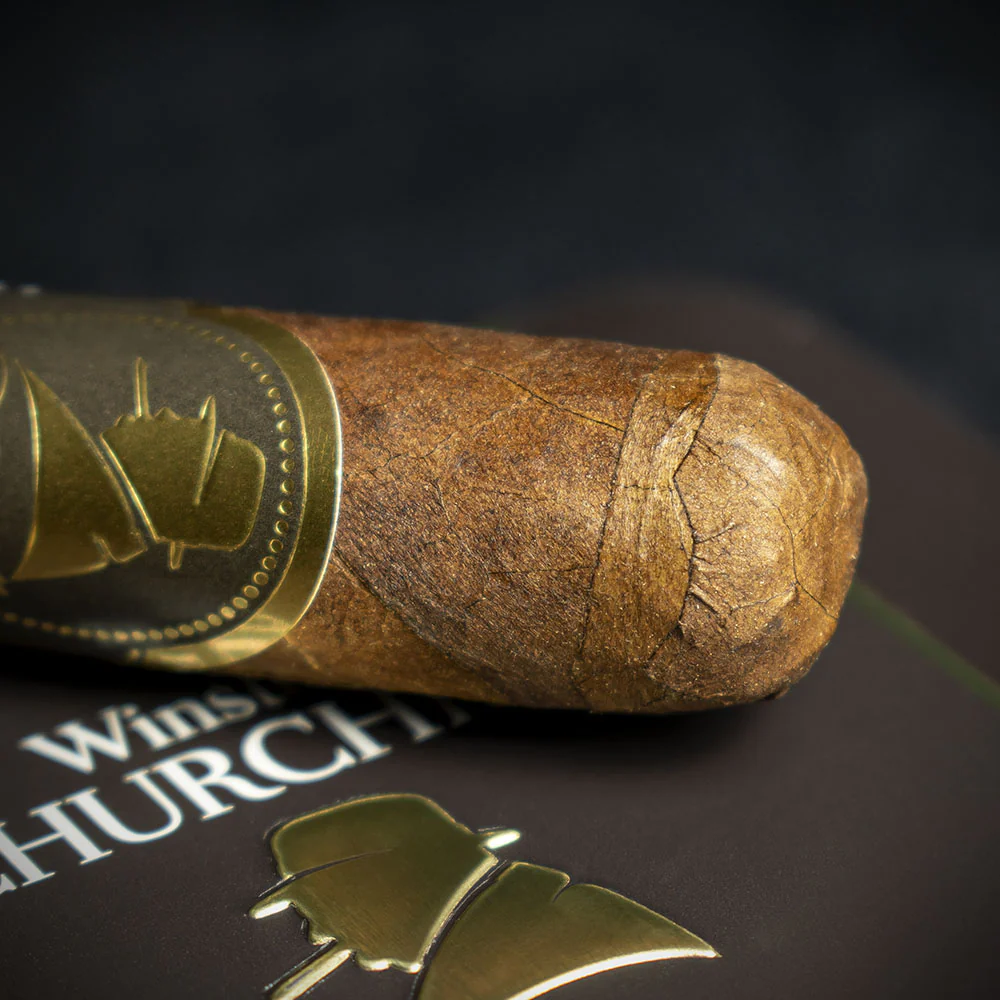Davidoff Winston Churchill The Late Hour Petit Panatela Cigars - Tin of 5 - Image 4