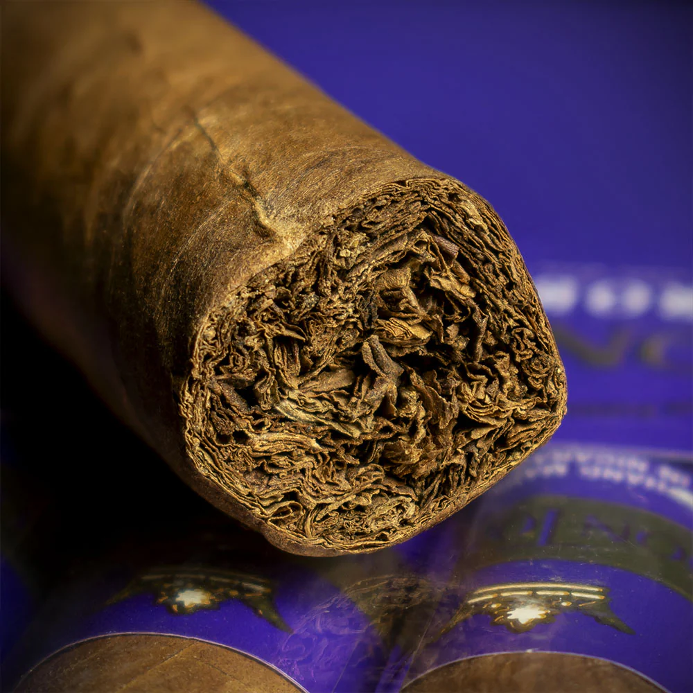 Don Tomas Nicaragua Robusto Cigar - Single - Image 6