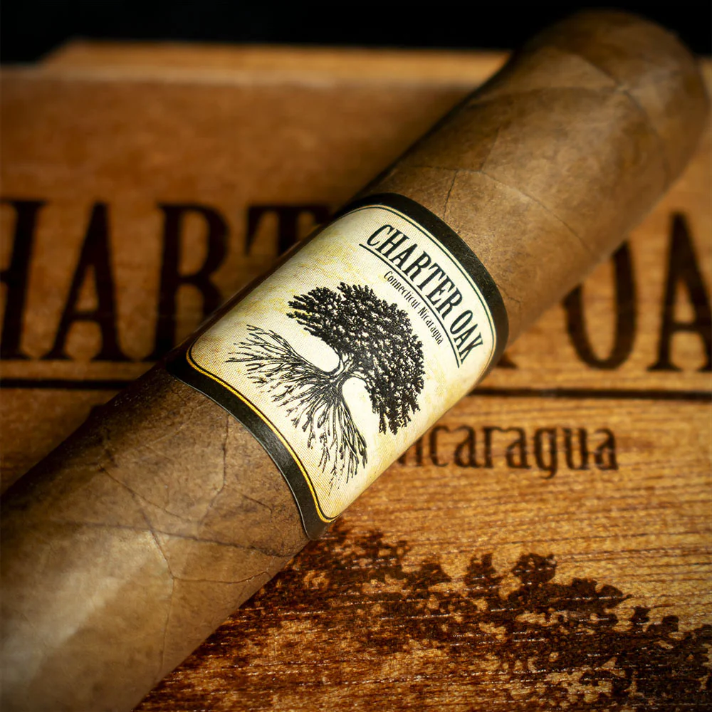 Foundation Cigars Charter Oak Original Petit Corona - Single - Image 4