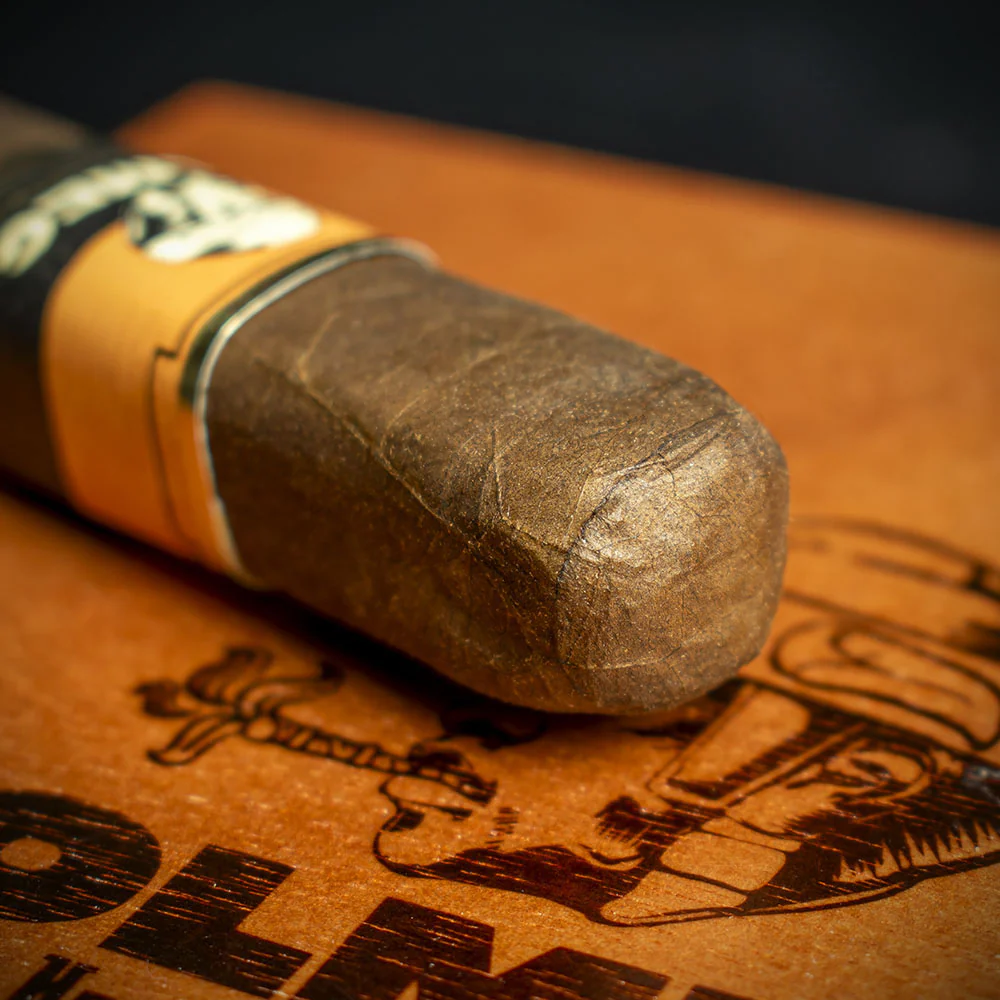 Foundation Cigars Olmec Claro Nicaraguan Robusto Cigar - Single - Image 5