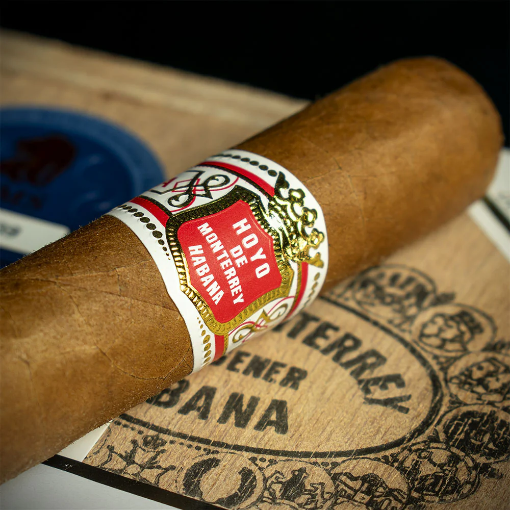 Hoyo de Monterrey Du Depute Cuban Cigar - Single - Image 4