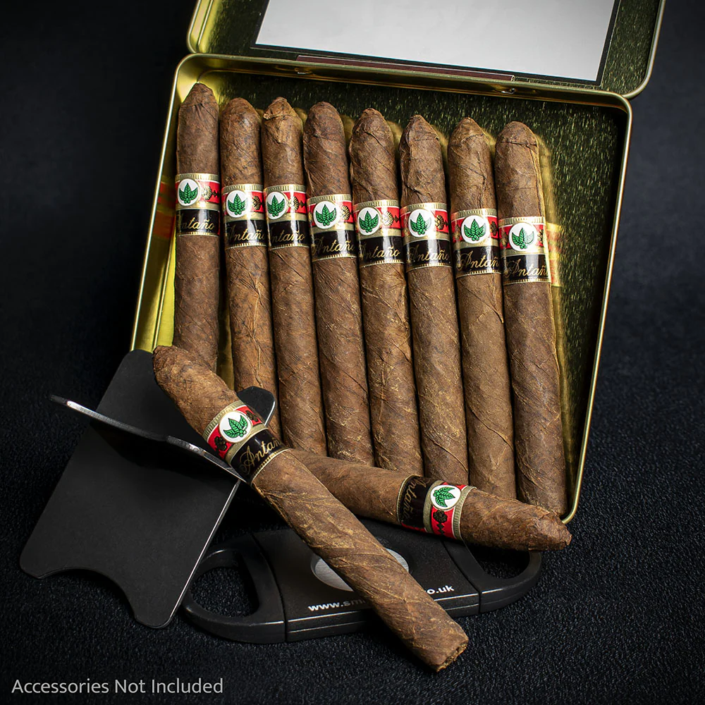 Joya de Nicaragua Antano 1970 Coronet Cigar - Single - Image 3