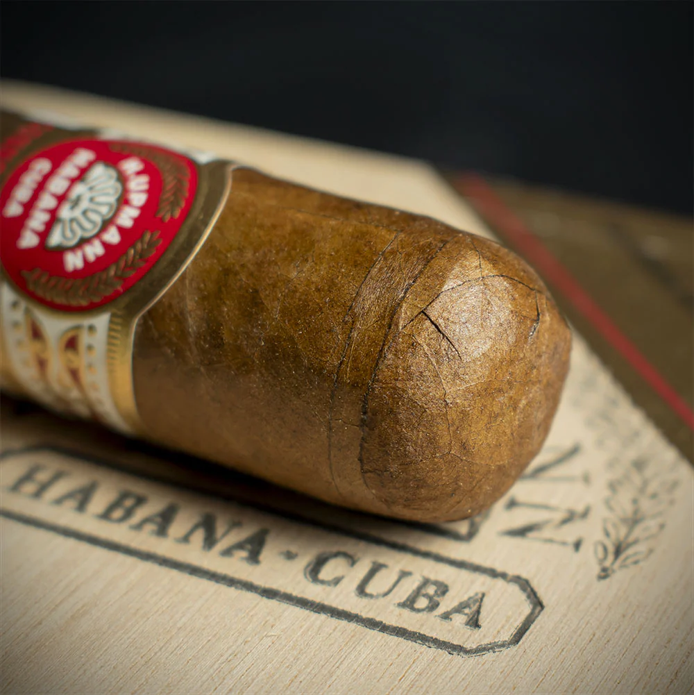 H. Upmann Connossieur B Cuban Cigar - Single - Image 5