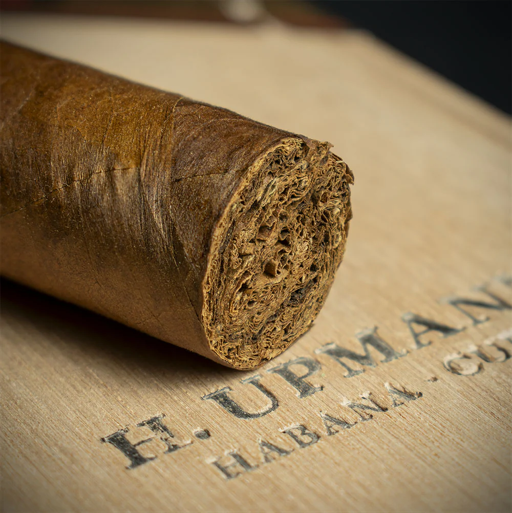 H. Upmann Connossieur B Cuban Cigar - Single - Image 6