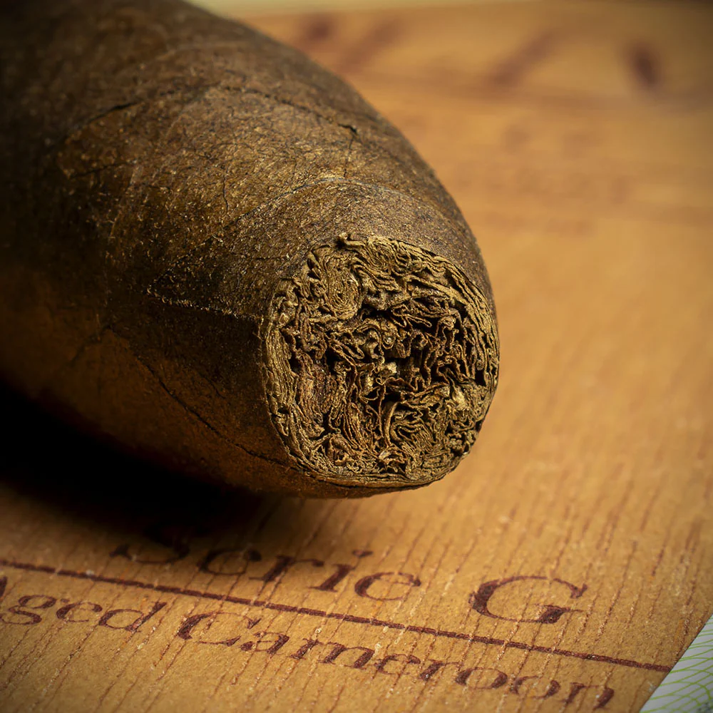 Oliva Serie G Special G Perfecto Cigar - Single - Image 6