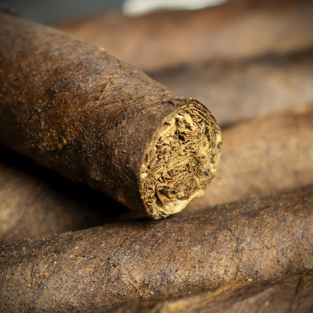 Smoke-King Dutch Senoritas Brazil Cigars - Pack of 12 - Image 4