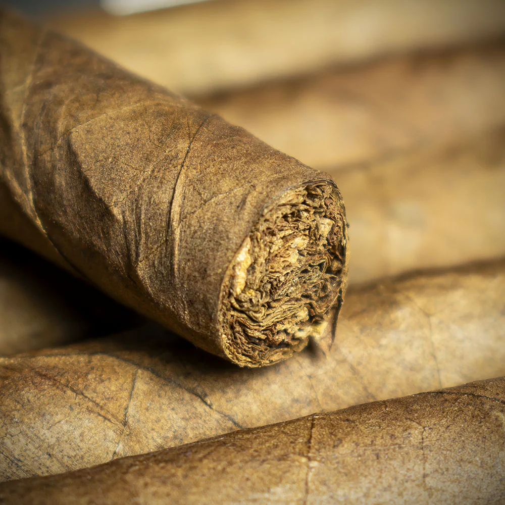 Smoke-King Dutch Senoritas Cigars - Pack of 12 - Image 4