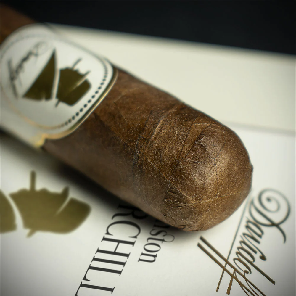 Davidoff Winston Churchill Artist Petit Corona Cigars - Pack of 5 - Image 4