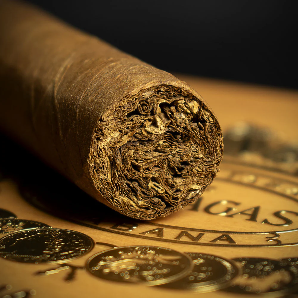 Partagas Aliados LCDH Cuban Cigar - Single - Image 6