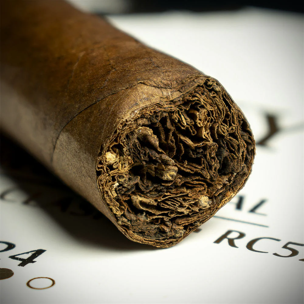 PDR El Vinyet 2024 Robusto Clasico Cigar - Single - Image 5