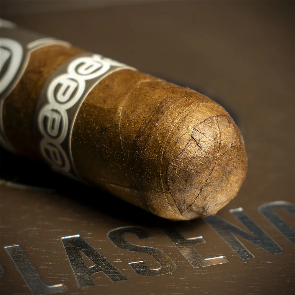 Plasencia Alma del Campo Robusto Cigar - Single - Image 5