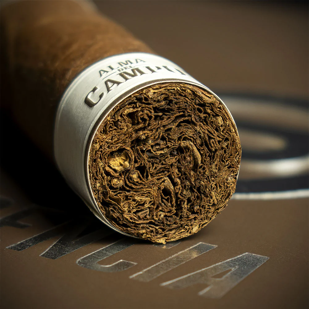 Plasencia Alma del Campo Robusto Cigar - Single - Image 6