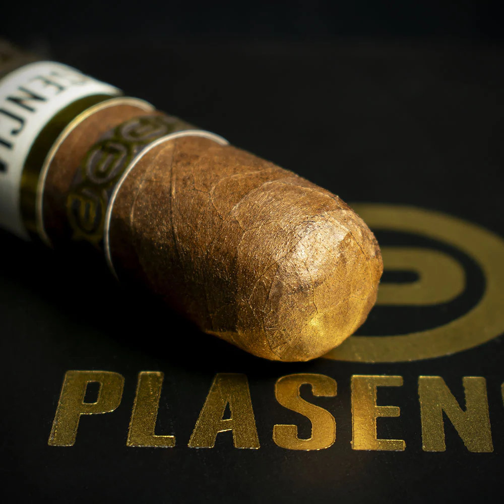 Plasencia Cosecha 151 La Musica Robusto Cigars - Box of 10 - Image 4