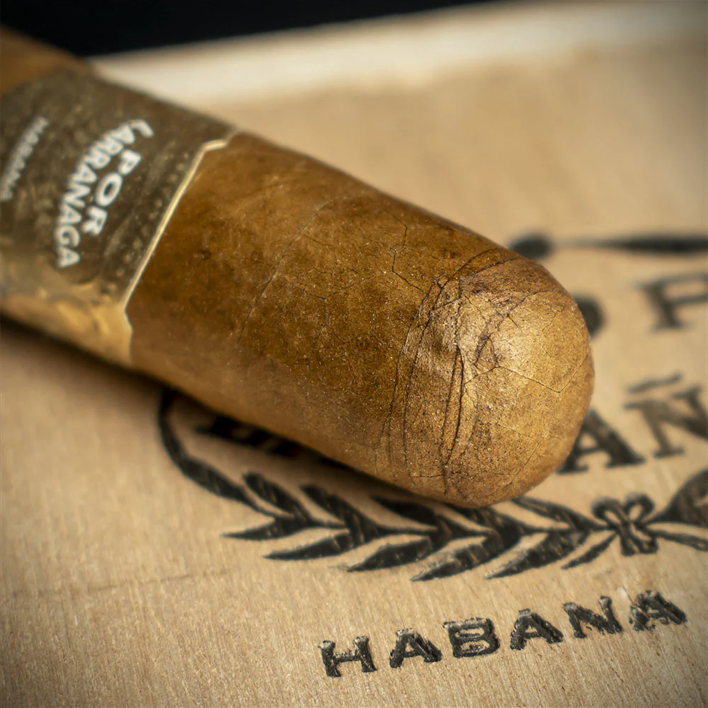 Por Larranaga Petit Coronas Cuban Cigar - Single - Image 5