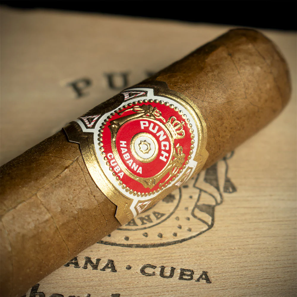 Punch Short de Punch Cuban Cigar - Single - Image 4
