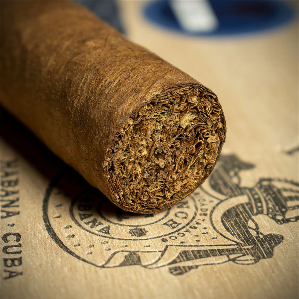 Punch Short de Punch Cuban Cigar - Single - Image 6