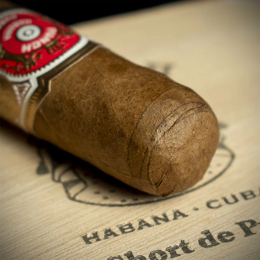 Punch Short de Punch Cuban Cigars - Box of 10 - Image 4
