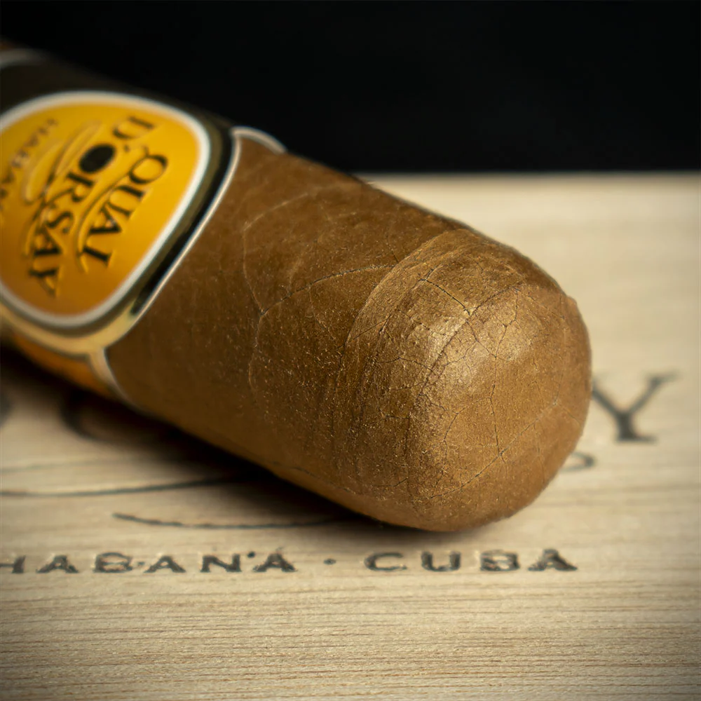 Quai D'Orsay No 50 Cuban Cigar - Single - Image 5