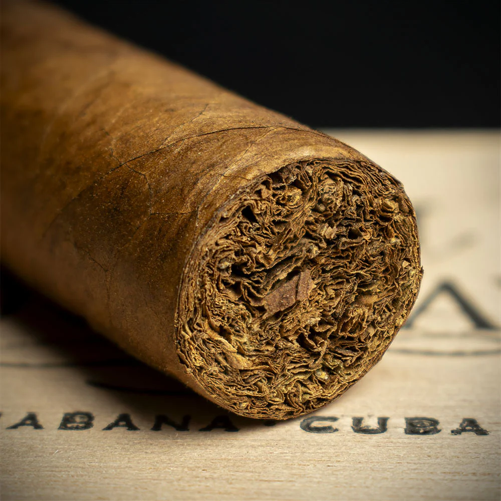 Quai D'Orsay No 54 Cuban Cigar - Single - Image 6
