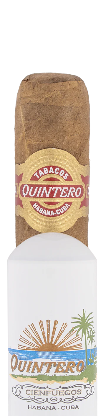 Quintero Favoritos Cuban Tubed Cigar - Single