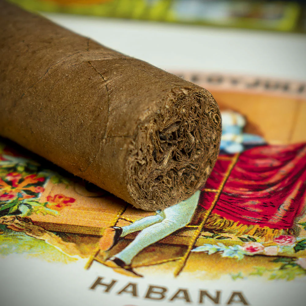 Romeo y Julieta Mille Fleur Cuban Cigar - Single - Image 6