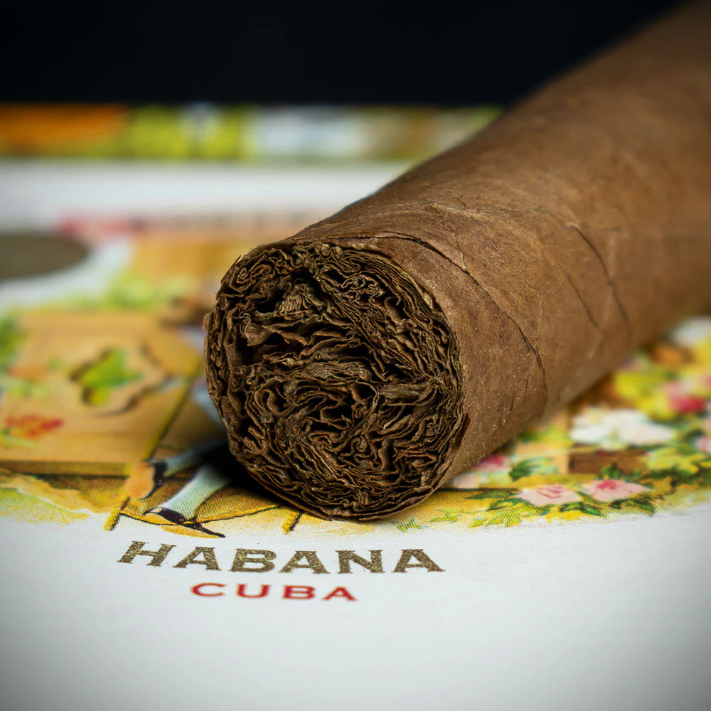 Romeo y Julieta Petit Coronas - Box of 25 Cuban Cigars - Image 4