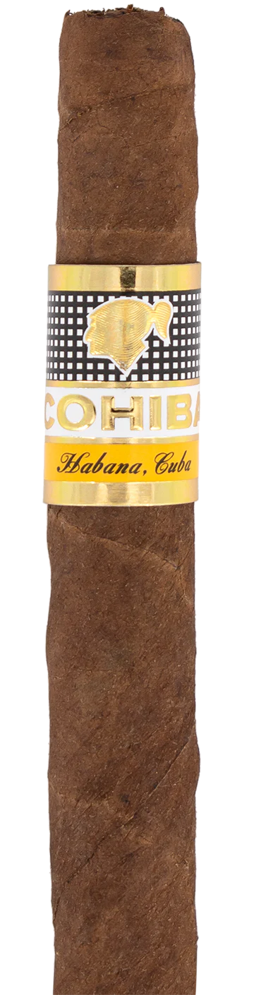 Cohiba Wide Short Cuban Cigar - Single