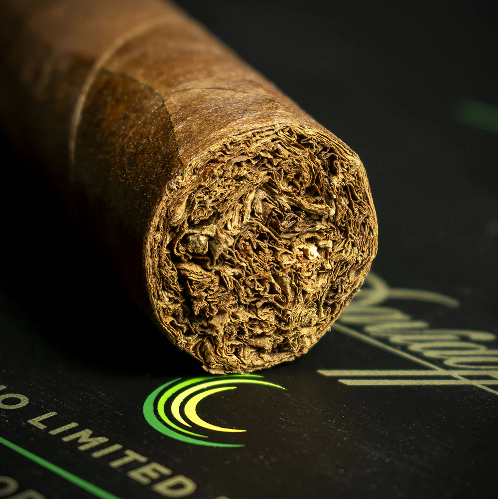 Davidoff Escurio 10th Anniversary Limited Edition Gran Toro Cigar - Single - Image 6