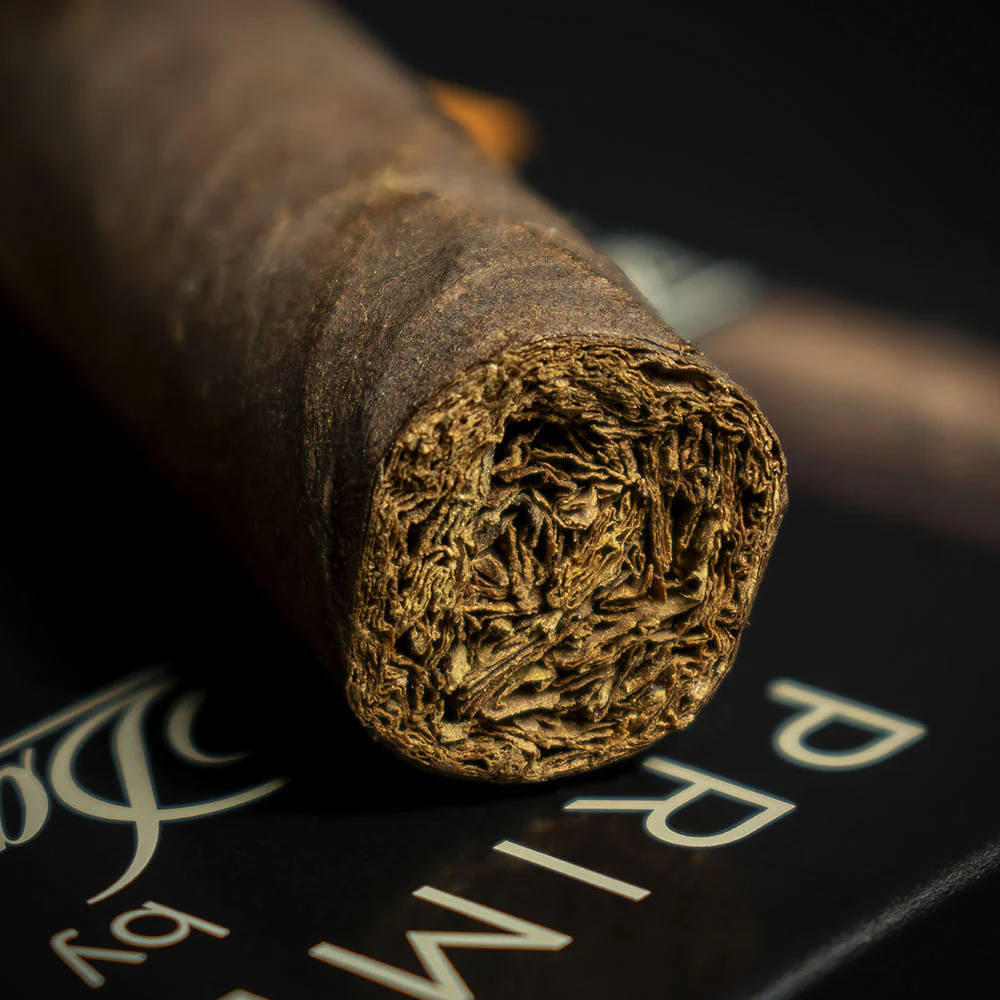 Davidoff Primeros Nicaragua Maduro Petit Panetela Cigar - Single - Image 6