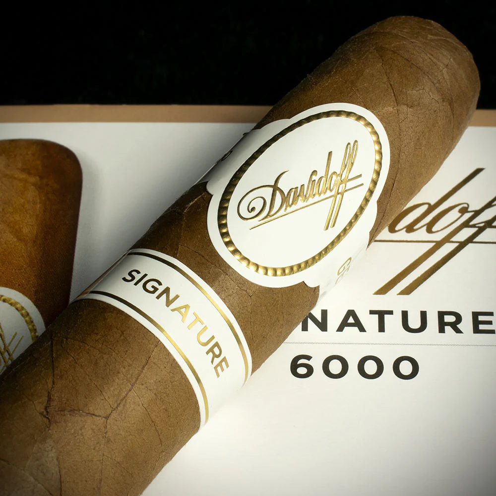 Davidoff Signature 6000 Robusto Cigar - Single - Image 4
