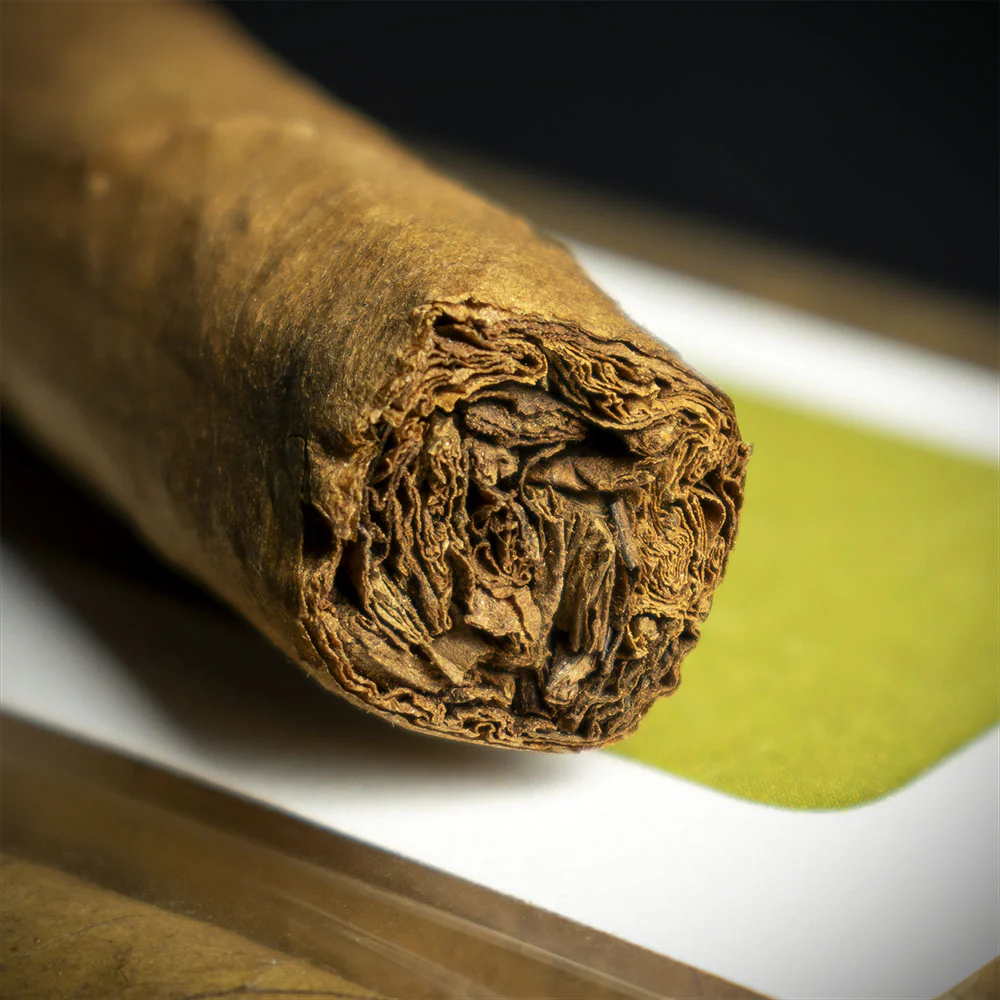 La Invicta Honduran Panatela Cigar - Single - Image 6